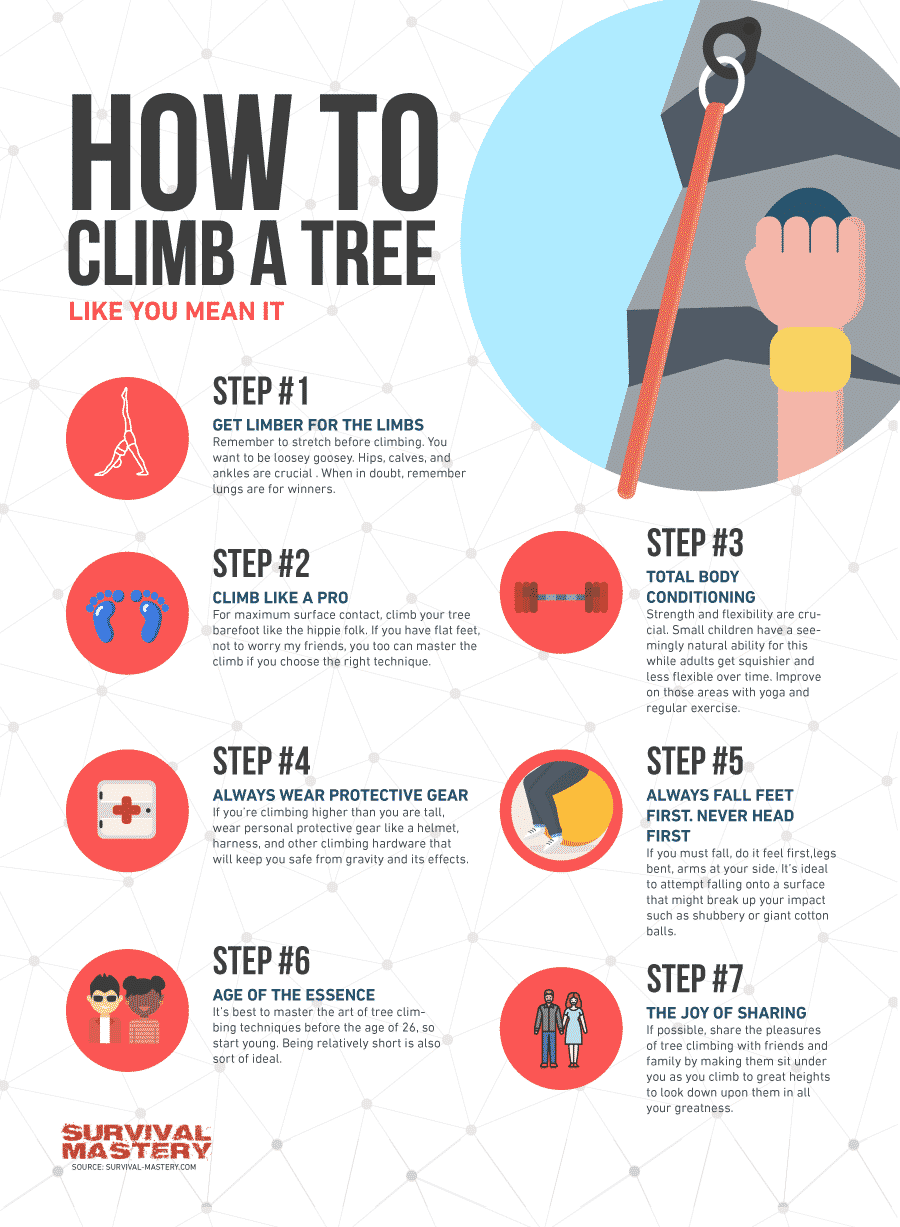 info1 - Beginner Tree Climbing: Take The First Step, Know The Basic Rep
