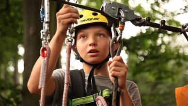 safety 388x220 - Safe Tree Climbing—How to Make Sure You’ve Got Everything You Need