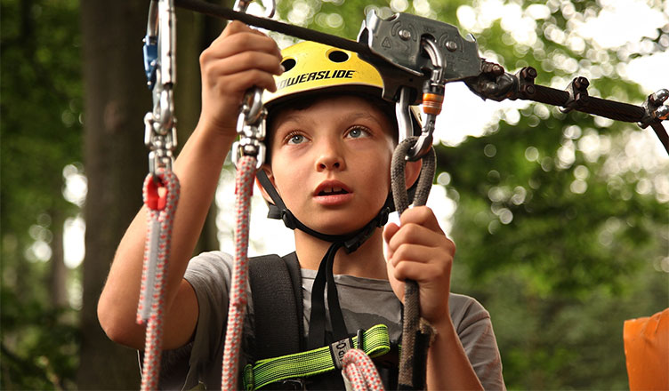 safety - Safe Tree Climbing—How to Make Sure You’ve Got Everything You Need